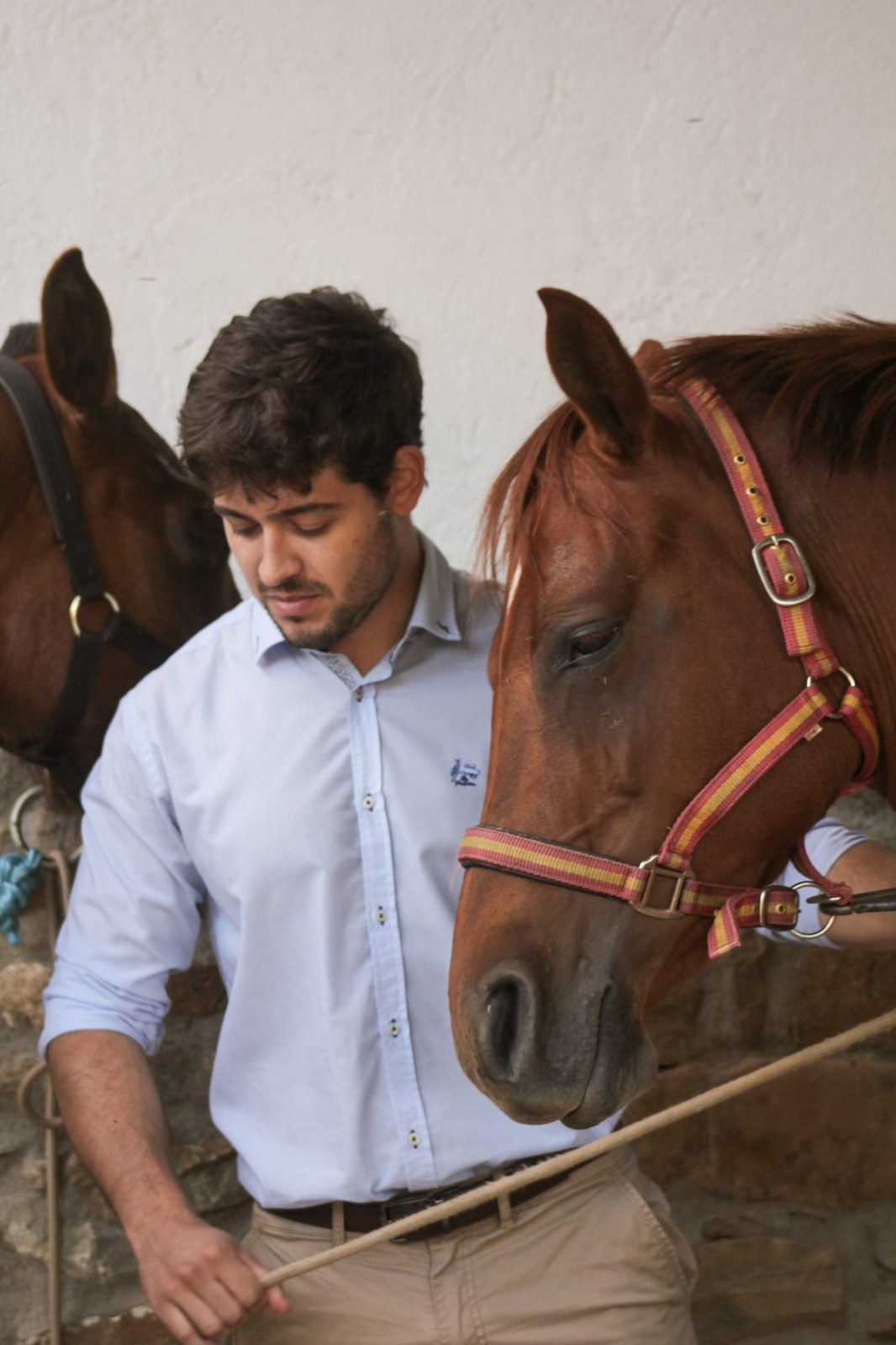 Néstor González with horses